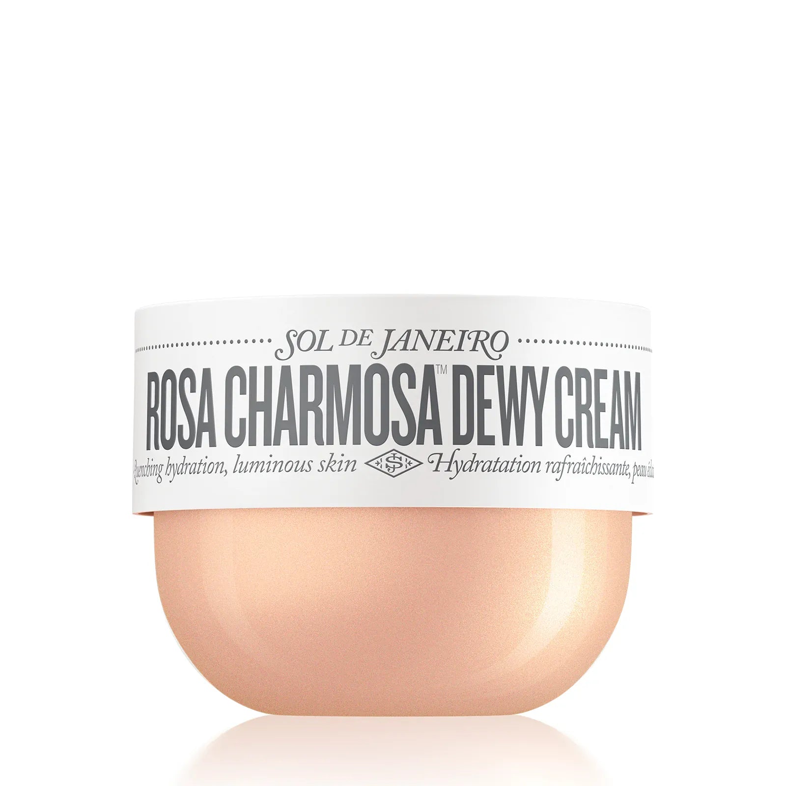 Rosa Charmosa™ Dewy Cream