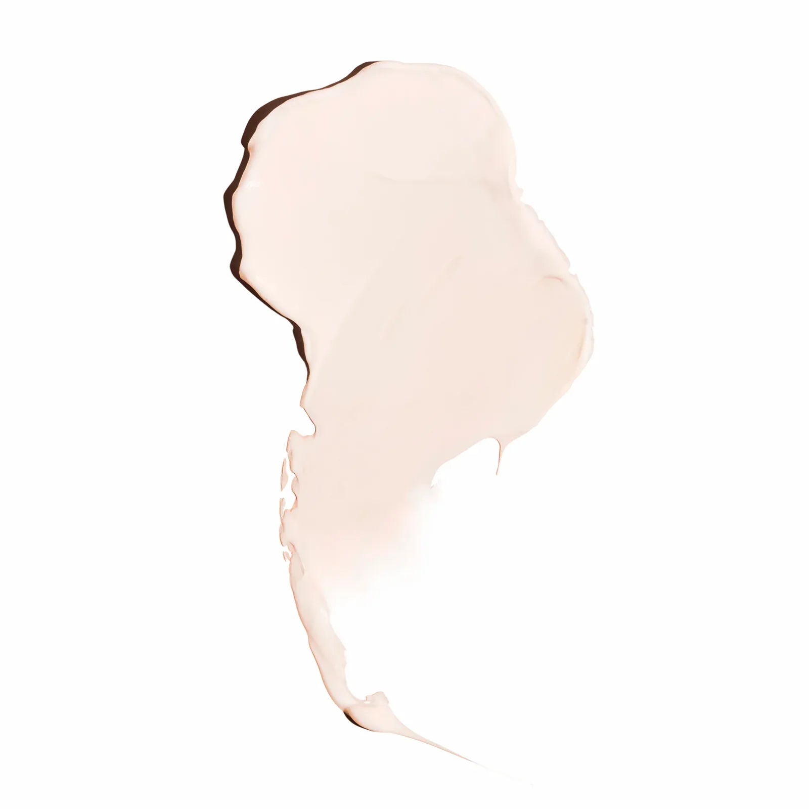 Rosa Charmosa™ Dewy Cream